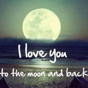 Meet your Posher, Roxanne